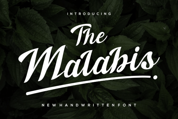 Discovering The Malabis: A Font for Elegant Editorial Design