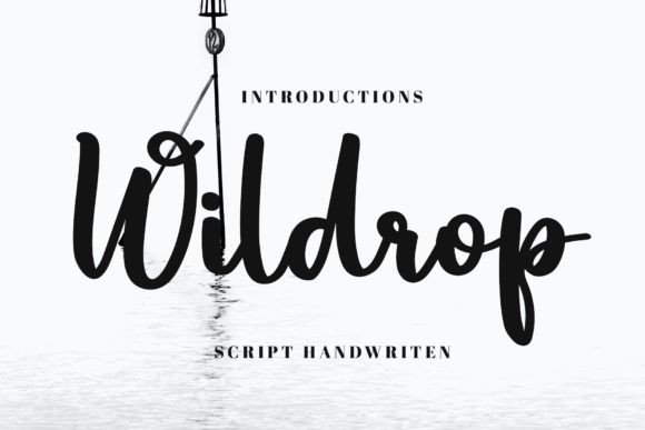 Enhance Your Brand with Wildrop: A Stylish Handwritten Font